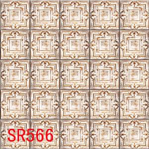 8'x8' SR556